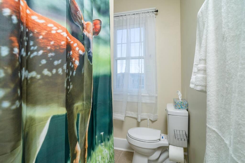 Dog And Family Friendly 4Br W Wifi And Fenced Yard By Zen Living Short Term Rental Luray Εξωτερικό φωτογραφία